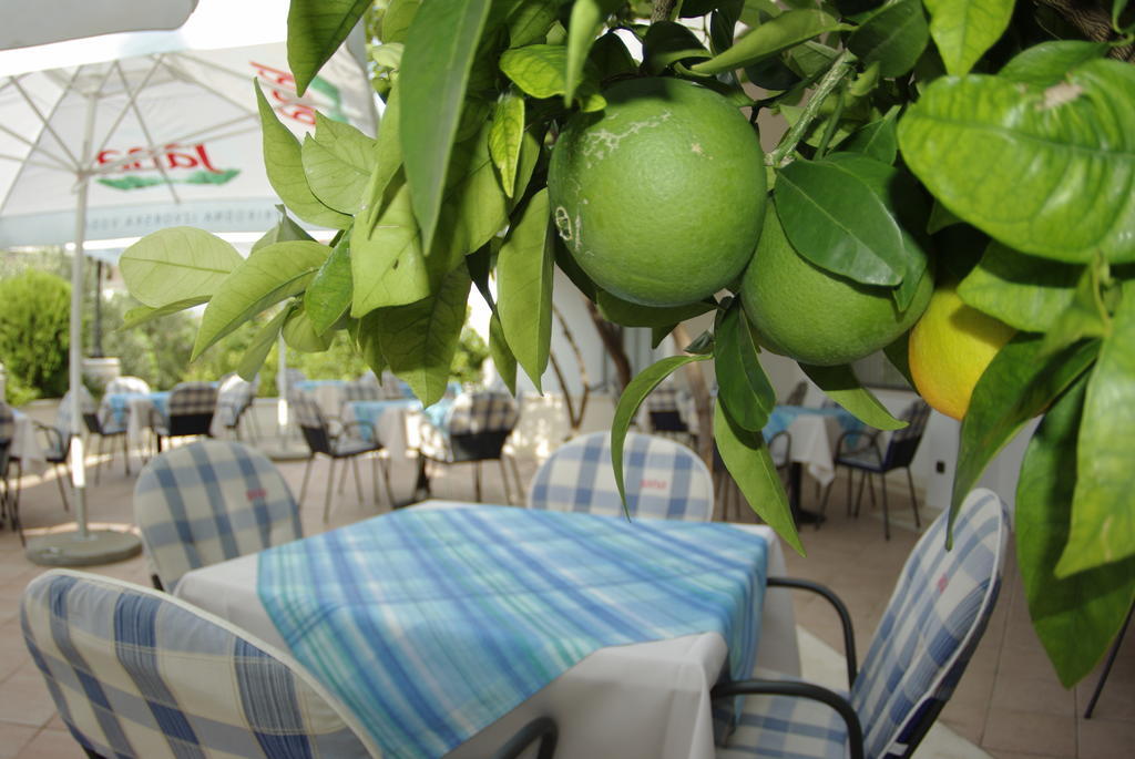 טוצפי Hotel Villa Marija מראה חיצוני תמונה